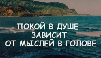 Когда мой ум успокоился, мой мир вокруг стал мудрее